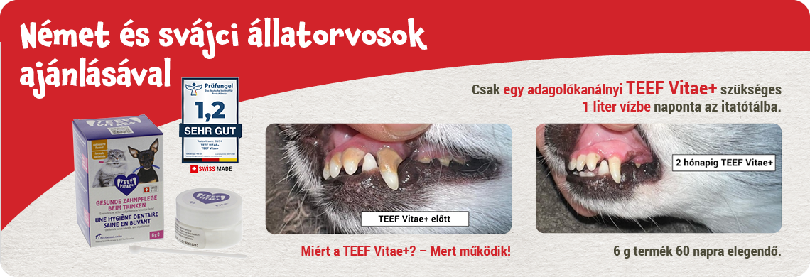 TEEF Vitae+ fogkőoldó fogápoláshoz